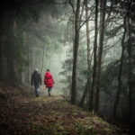 The Physical and Mental Benefits of Forest Walking